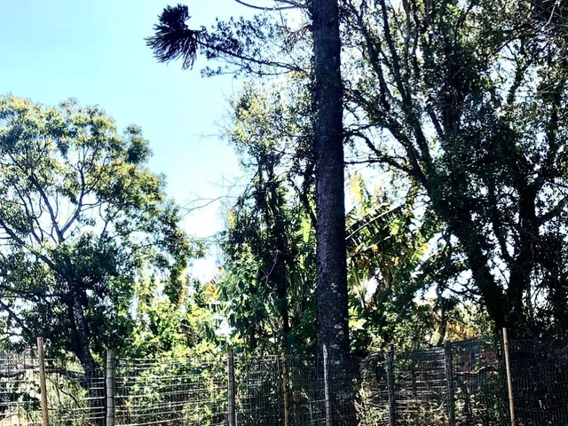 Imagem 5: SOBRADO RESIDENCIAL PARQUE ALVORADA