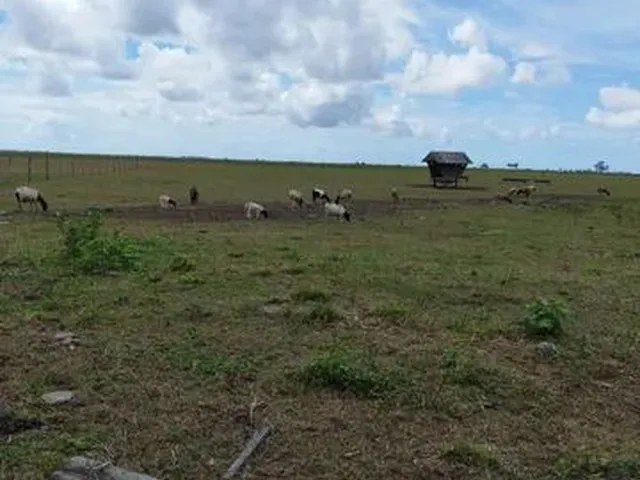 Imagem: Fazenda a Venda em Linhares com 112 Alqueires
