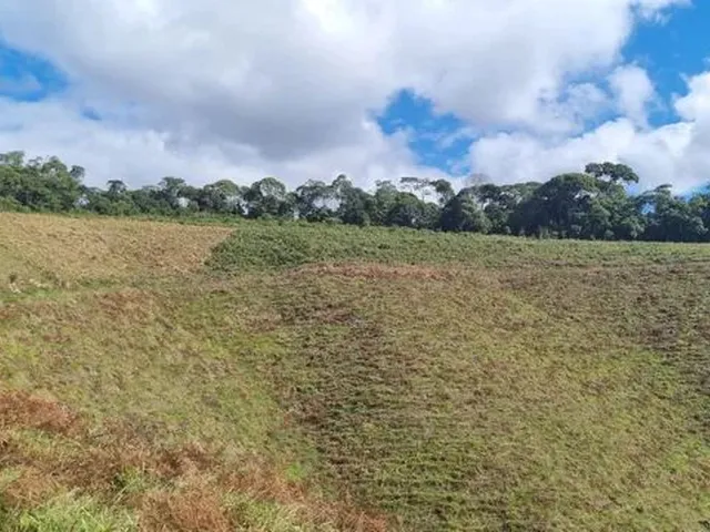 Imagem: Produtor Rural para Produção de Leite