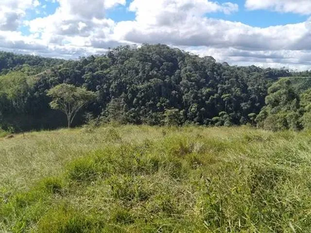 Imagem 4: Produtor Rural para Produção de Leite Jersey