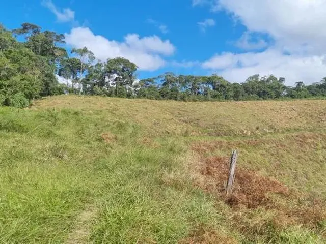 Imagem 2: Produtor Rural para Produção de Leite Jersey