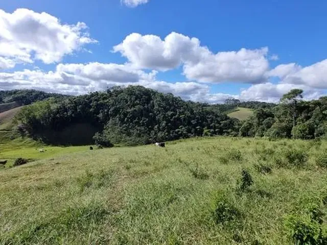 Imagem 3: Produtor Rural para Produção de Leite Jersey
