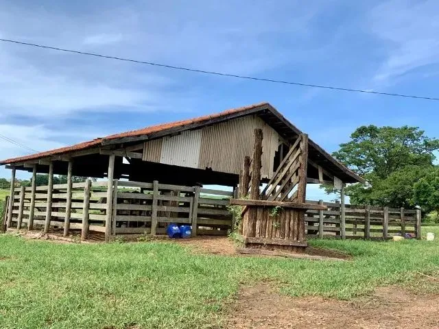 Imagem 8: Sitio de 12 Alqueires com Ótimo Acesso