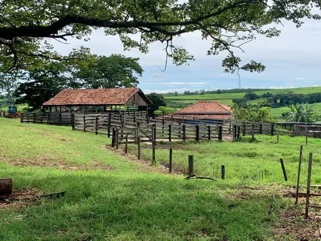 Imagem 4: Sitio de 12 Alqueires com Ótimo Acesso