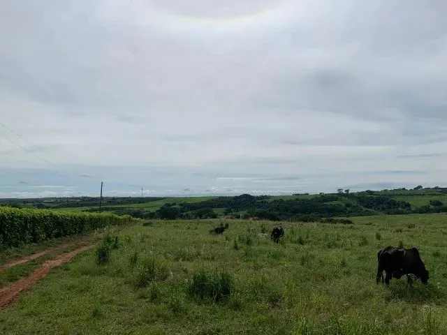 Imagem 6: Sitio de 12 Alqueires com Ótimo Acesso