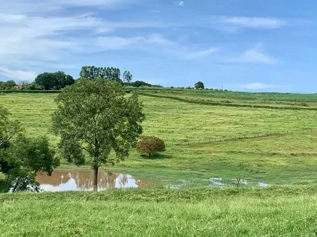 Imagem 7: Sitio de 12 Alqueires com Ótimo Acesso