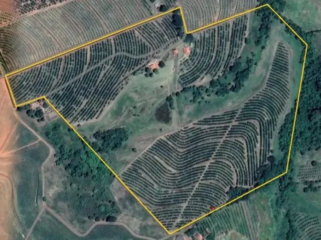 Imagem 5: Sitio de 12 Alqueires com Ótimo Acesso