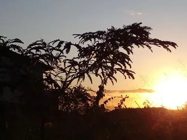 Imagem: Imperdível Imóvel com Um por do Sol Exuberante