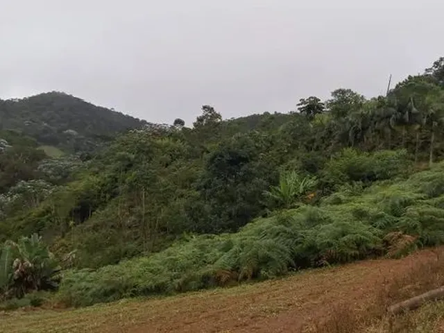 Imagem: Terrenos em Domingos Martins