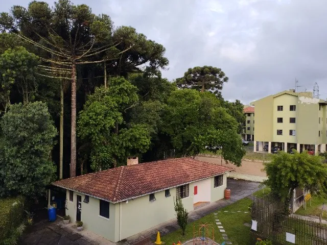 Imagem 6: Apartamento 3Quartos para Vender em Curitiba-Pr