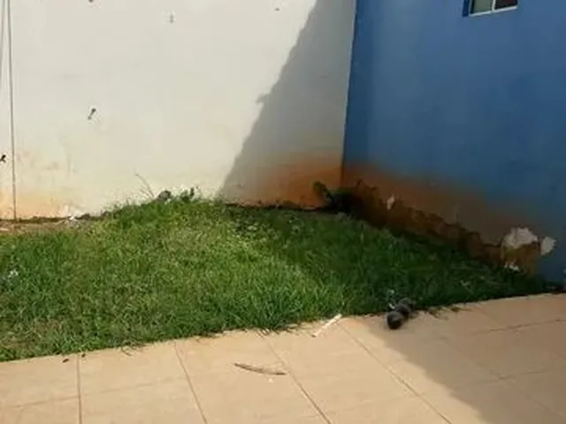 Imagem: Casa Sol Nascente Trecho 2