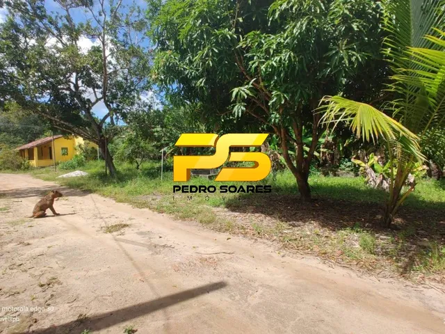 Imagem 2: SITIO RURAL em JOÃO PESSOA - PB, GRAMAME
