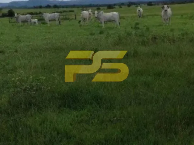 Imagem: FAZENDA RURAL em MARIANÓPOLIS DO TOCANTINS