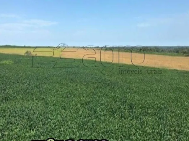 Imagem: Fazenda à venda, 384 alqueires paulista