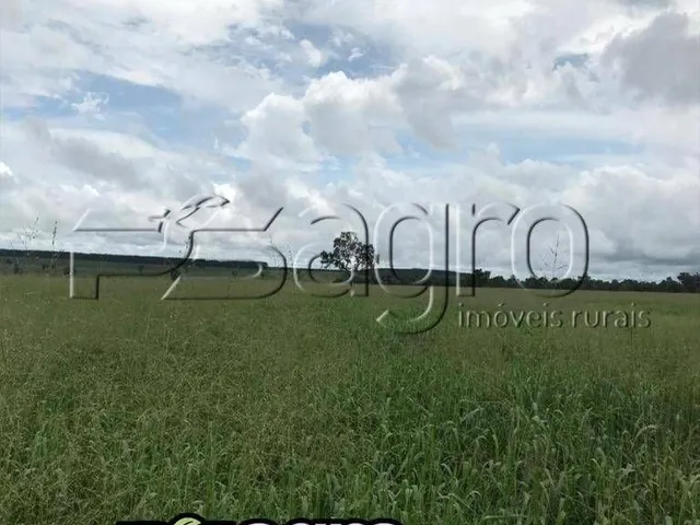 Imagem: A fazenda possui 1 Dormitório, 1 Suíte, 1 Banheiro, 1