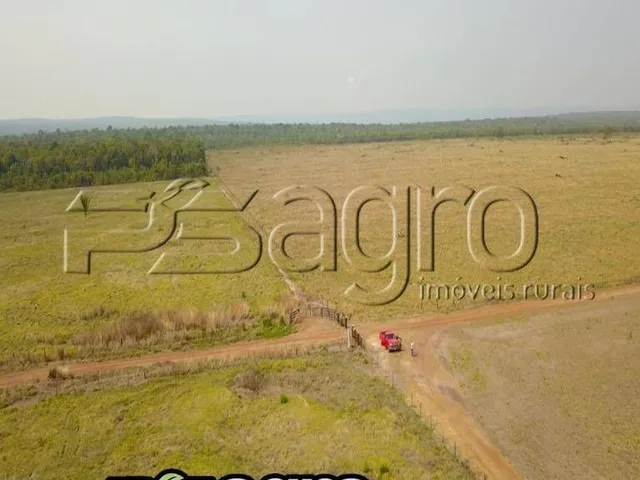 Imagem 2: Fazenda à venda, 2004 hectares por r$ 31.000.000 para