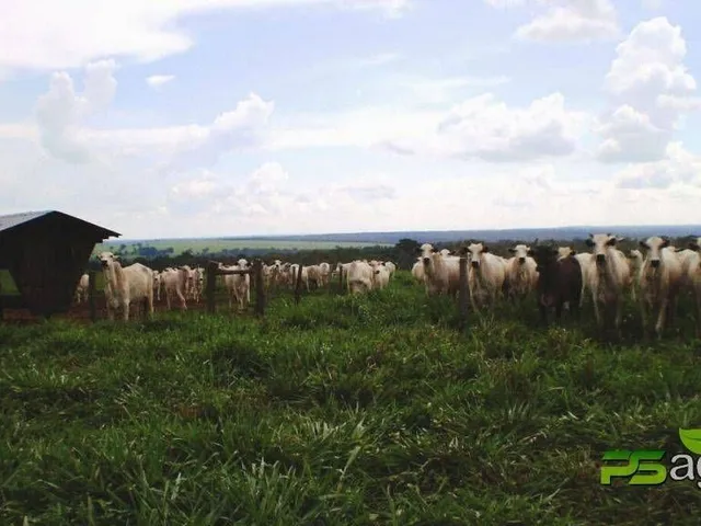 Imagem: Fazenda à venda, 570000000 m² por r$ 800.000.000