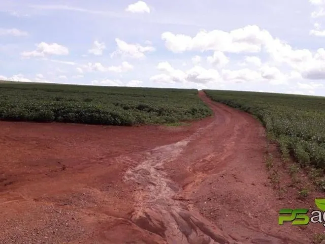 Imagem: Fazenda À Venda, 1376590000 M² por R$