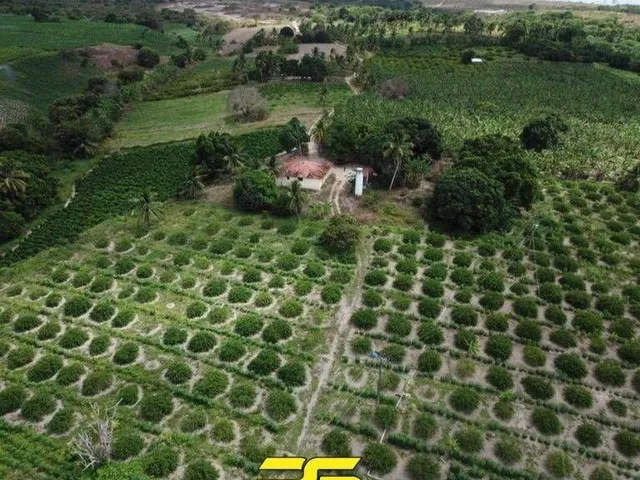 Imagem: Granja à venda, 6 hectares por r$ 800.000