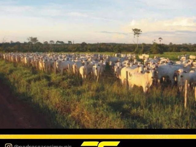 Imagem: Fazenda à venda, 149.515,19 m² por r$