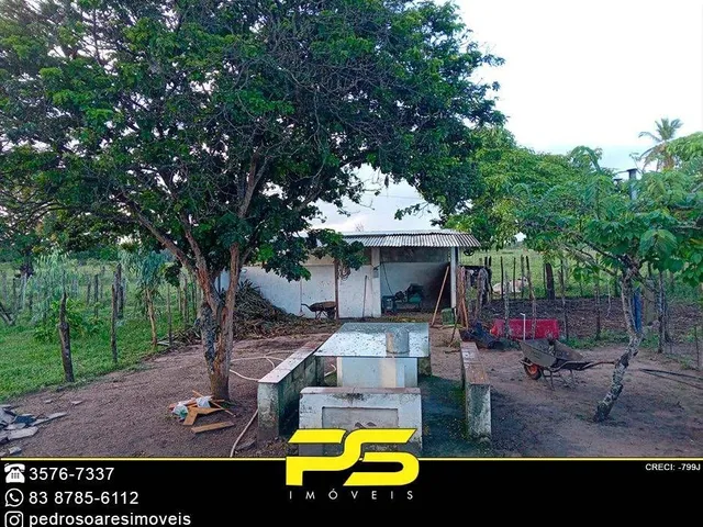 Imagem 6: Granja com 3 dormitórios à venda, 5.000 m² por r$ 300.000 - mumbaba - santa rita/pb