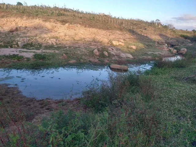 Imagem: Sítio à venda, 40000 m² por R$ 180.000