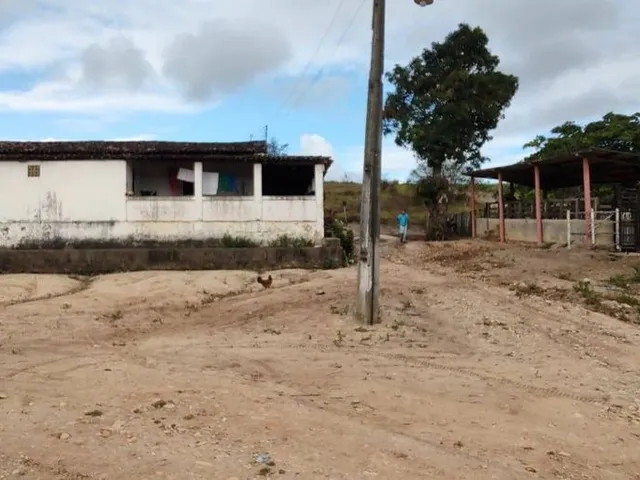 Imagem: Área em Mamanguape 134 Hectares, a Venda