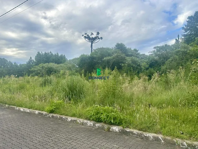 Imagem: Oportunidade Terreno para Venda em Farroupilha