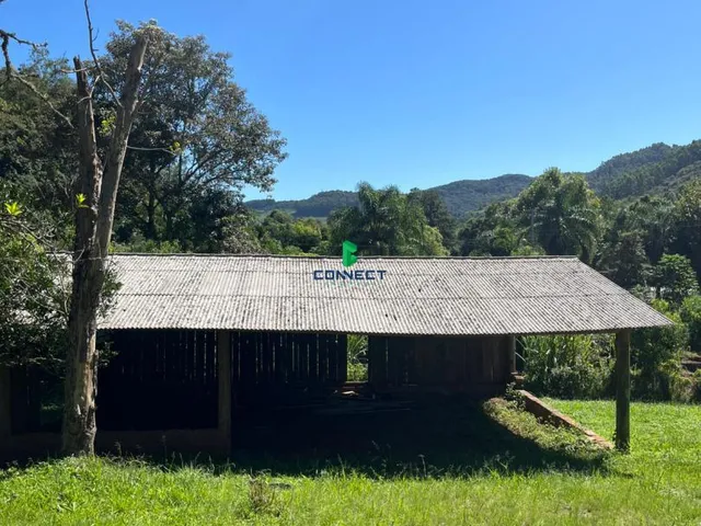 Imagem 13: Chácara À Venda - Sete Colonias- Farroupilha