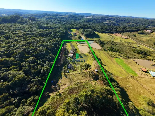 Imagem 3: Fazenda completa - OPORTUNIDADE ÚNICA em FARROUPILHA