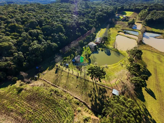 Imagem 4: Fazenda completa - OPORTUNIDADE ÚNICA em FARROUPILHA