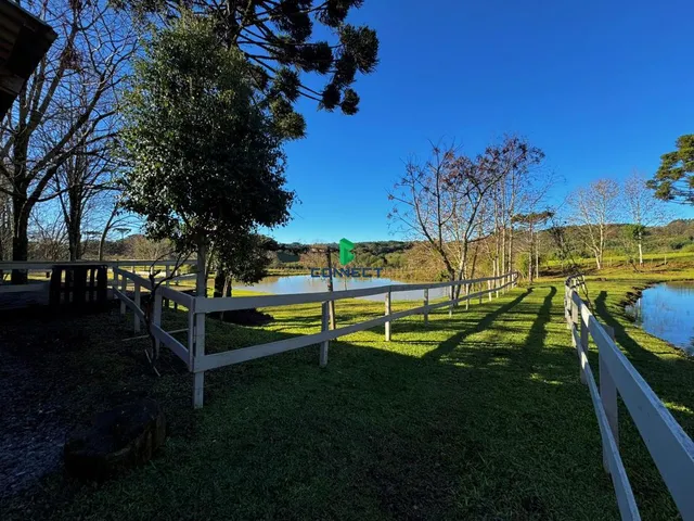 Imagem 15: Fazenda completa - OPORTUNIDADE ÚNICA em FARROUPILHA