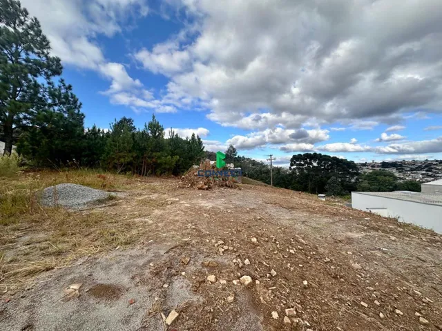 Imagem 6: AMPLO TERRENO PARA VENDA NO BAIRRO IMIGRANTE!