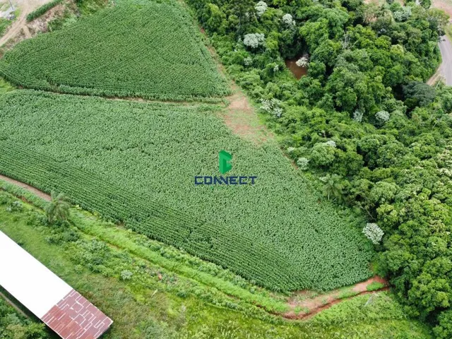 Imagem 3: Área de Terra em Nova Milano, Farroupilha