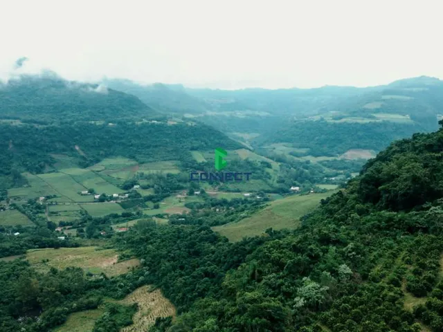Imagem 1: ÁREA DE TERRA NO CORAÇÃO DA SERRA, IDEAL PARA CABANAS, PARQUES OU HOTÉIS!