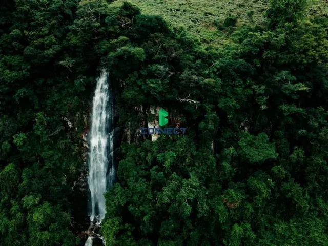 Imagem 6: ÁREA DE TERRA NO CORAÇÃO DA SERRA, IDEAL PARA CABANAS, PARQUES OU HOTÉIS!