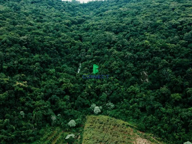 Imagem 2: ÁREA DE TERRA NO CORAÇÃO DA SERRA, IDEAL PARA CABANAS, PARQUES OU HOTÉIS!