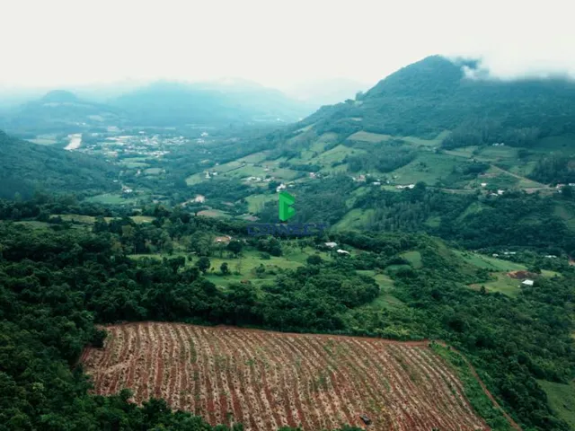Imagem 10: ÁREA DE TERRA NO CORAÇÃO DA SERRA, IDEAL PARA CABANAS, PARQUES OU HOTÉIS!