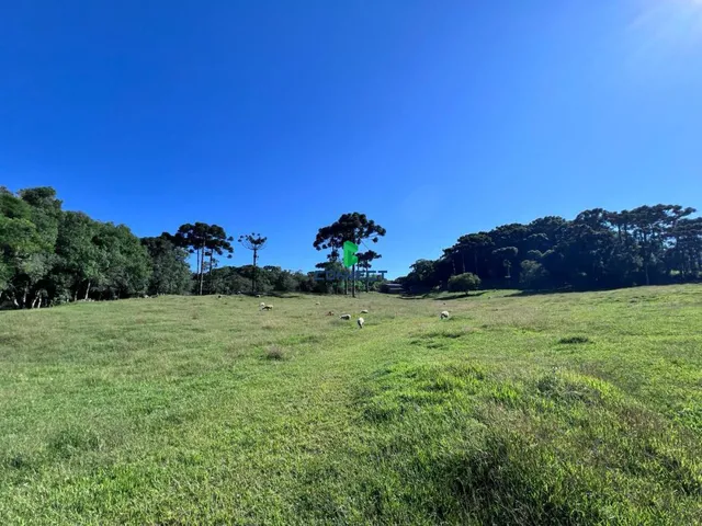 Imagem 3: Chácara Linha Caçador (3º Distrito)