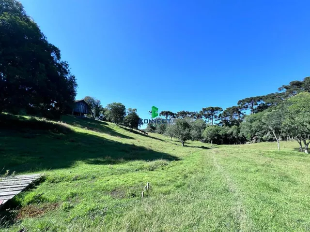 Imagem 6: Chácara Linha Caçador (3º Distrito)