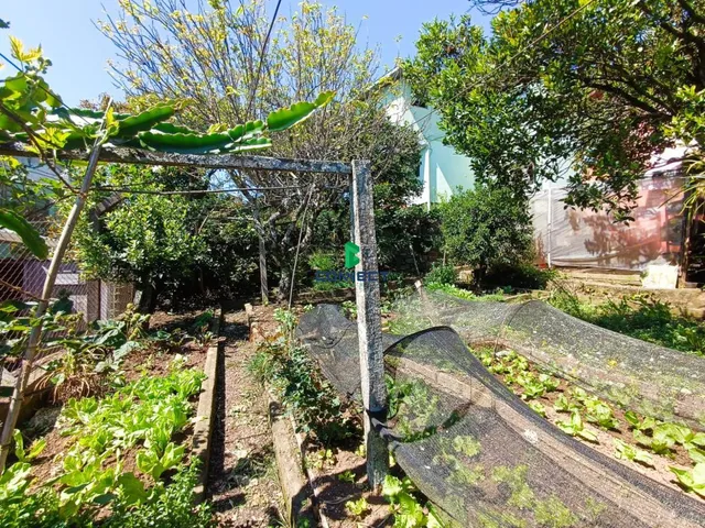 Imagem 6: Casa Mista no Bairro Monte Pasqual!