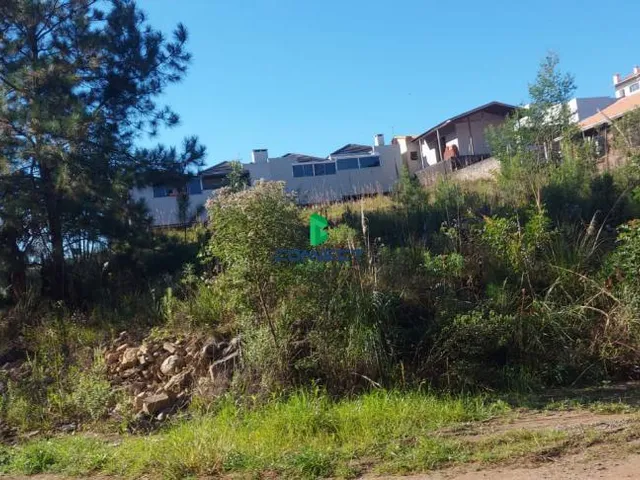 Imagem: Terreno de Esquina no Bairro Cruzeiro
