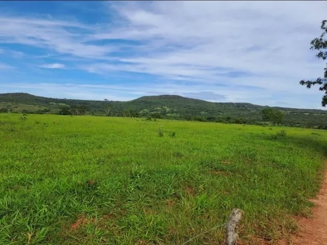 Imagem 3: Chacara 3 Alqueires em Caldas Novas