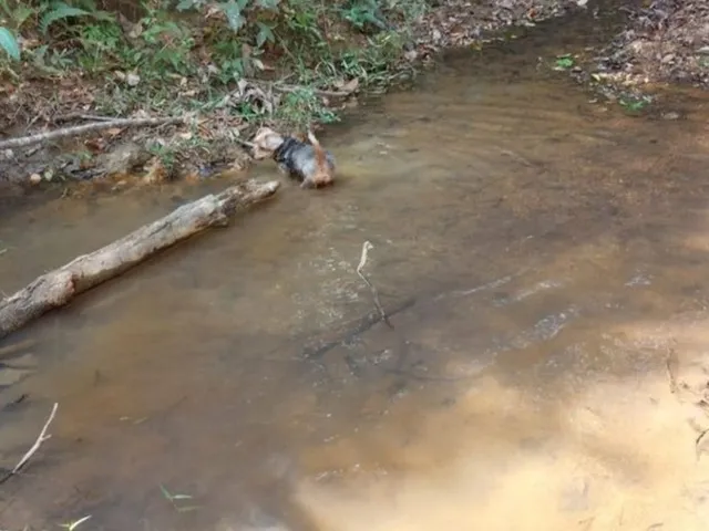 Imagem 4: Chacara 3 Alqueires em Caldas Novas