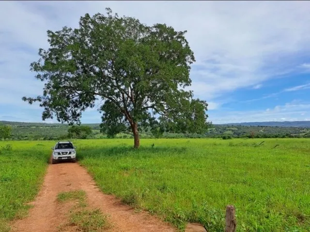 Imagem 2: Chacara 3 Alqueires em Caldas Novas