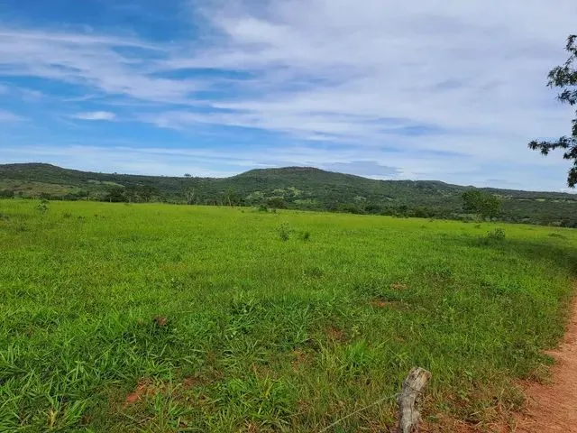 Imagem 8: Chacara 3 Alqueires em Caldas Novas