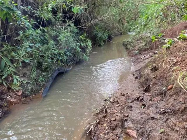 Imagem: Chácaras a Venda em Damolandia Ha 50 Km