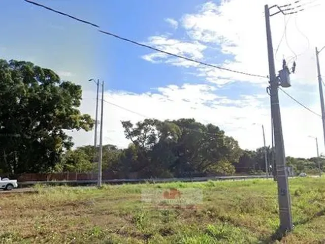 Imagem 4: Terreno 4 Hectares Br343 -Expoapi