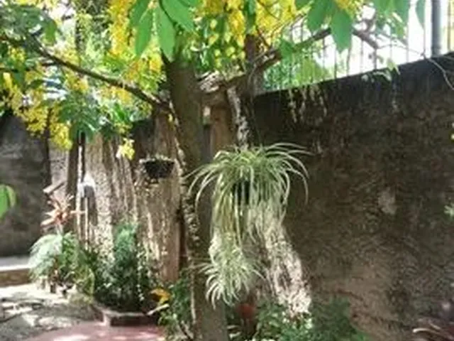 Imagem 5: Casa em João Caetano (Itambí) - Itaboraí - 3 Quartos e Garagem - Pronta Para