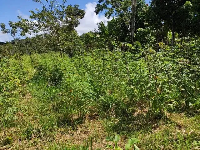 Imagem: Fazenda de 26,4167 Hectares